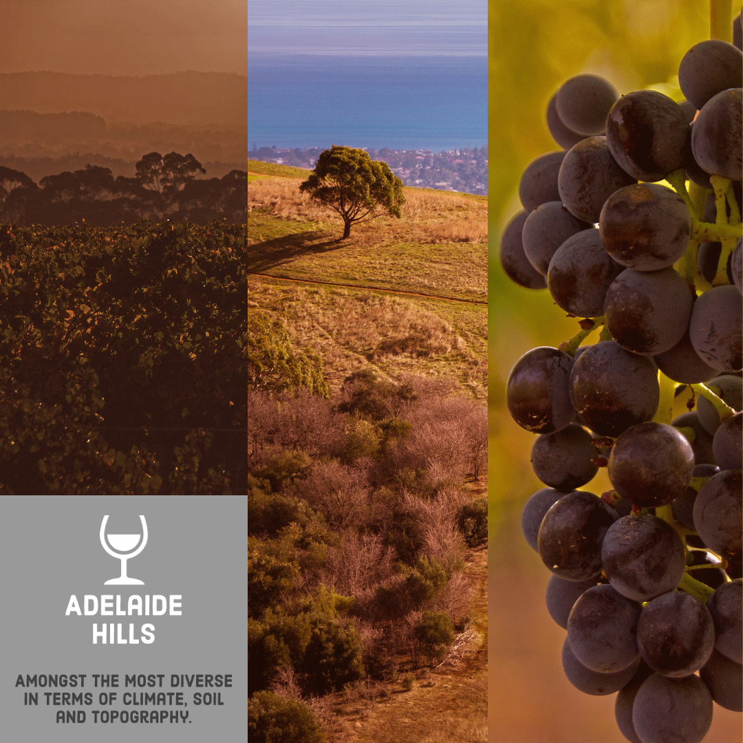 Adelaide Hills Diverse Wine Region